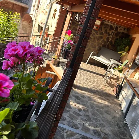 Grand Bbq Apartment Sibiu